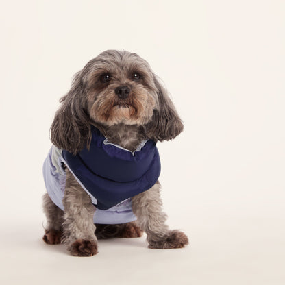 Fetch Padded Dog Coat XS - Oxford Blue/Light Mist/Lavender Grey