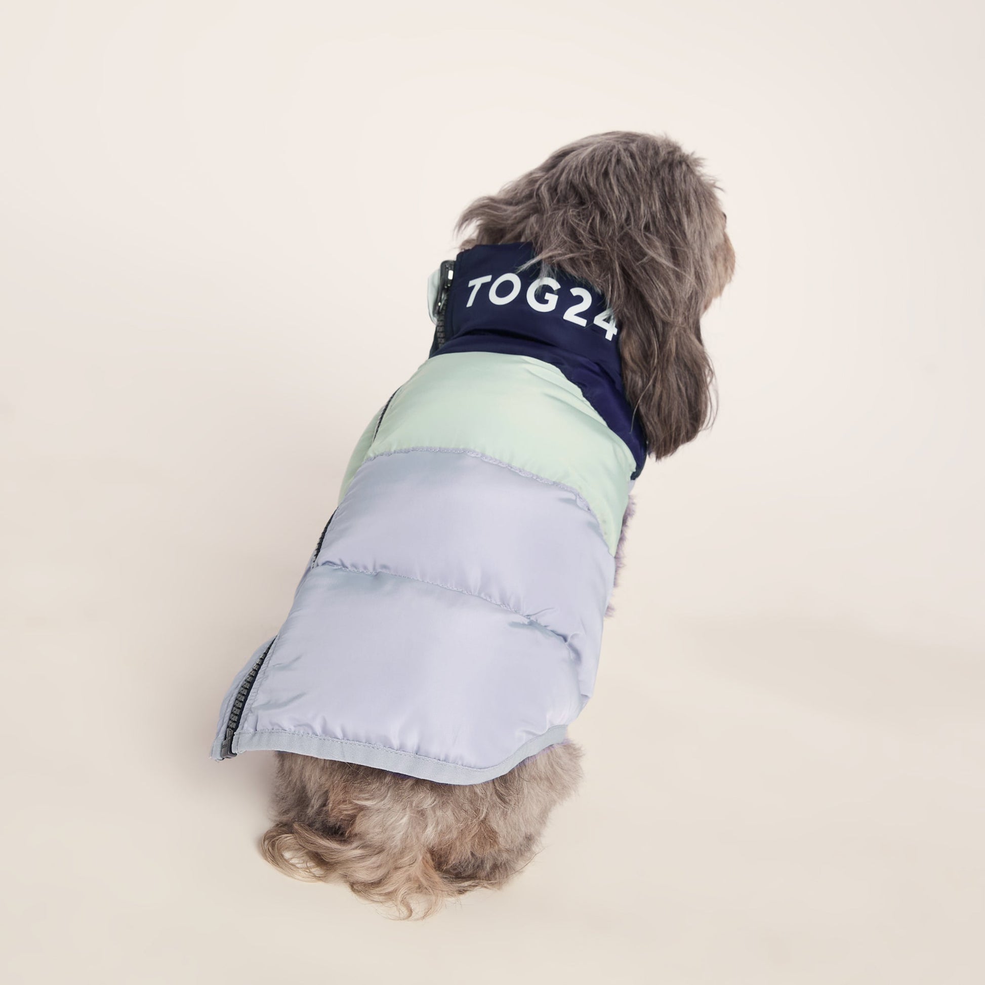 Fetch Padded Dog Coat XS - Oxford Blue/Light Mist/Lavender Grey