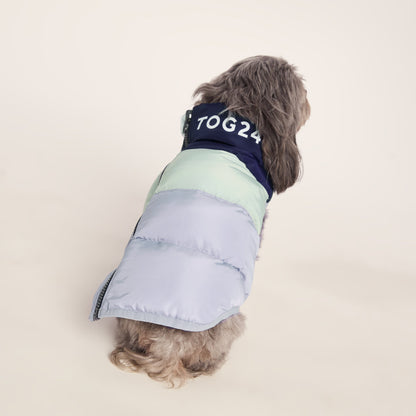 Fetch Padded Dog Coat XS - Oxford Blue/Light Mist/Lavender Grey