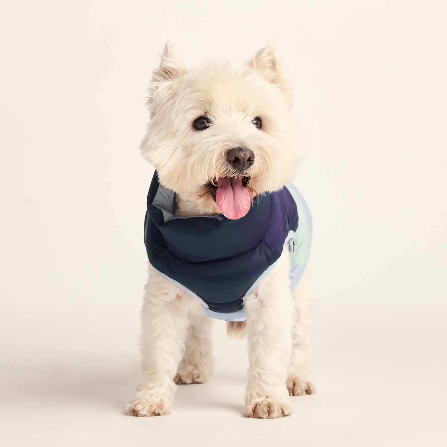 Fetch Padded Dog Coat S - Oxford Blue/Light Mist/Lavender Grey