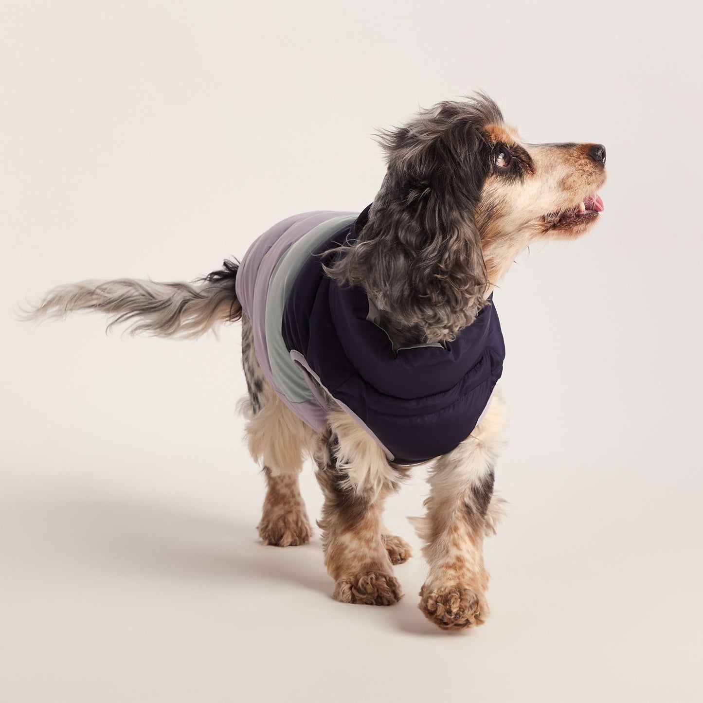 Fetch Padded Dog Coat M - Oxford Blue/Light Mist/Lavender Grey