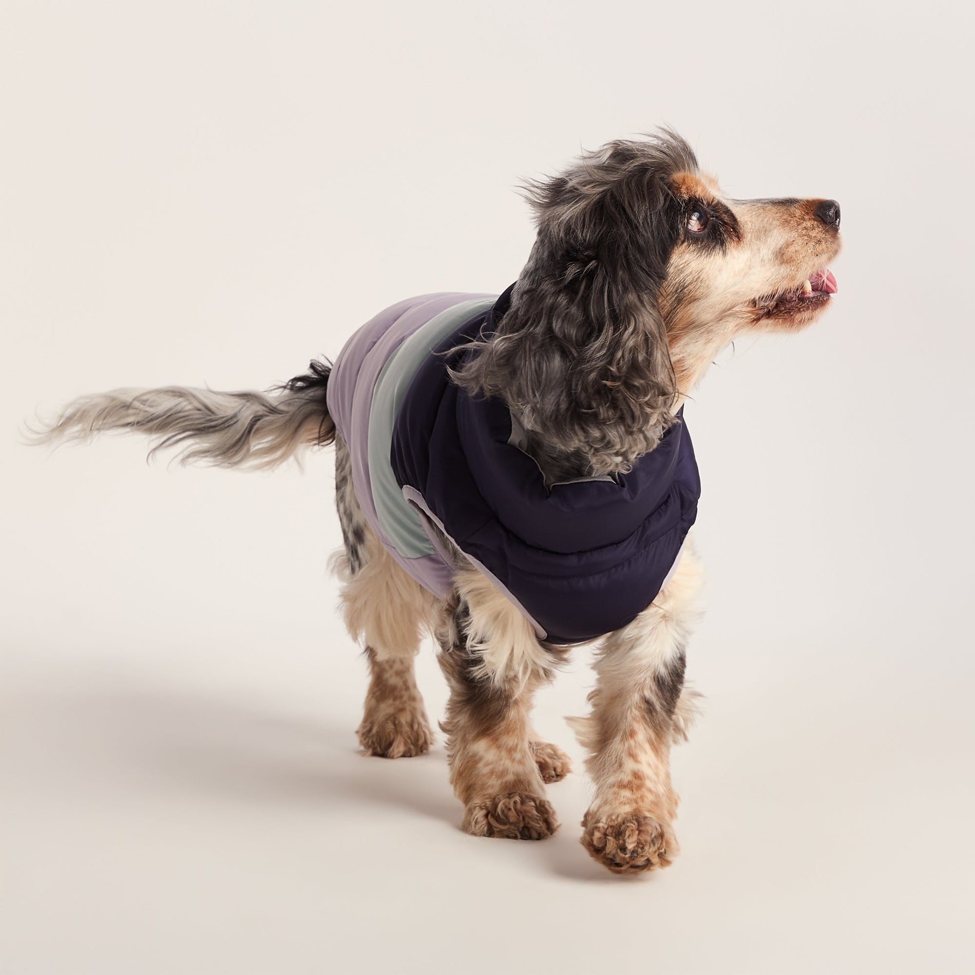 Fetch Padded Dog Coat M - Oxford Blue/Light Mist/Lavender Grey