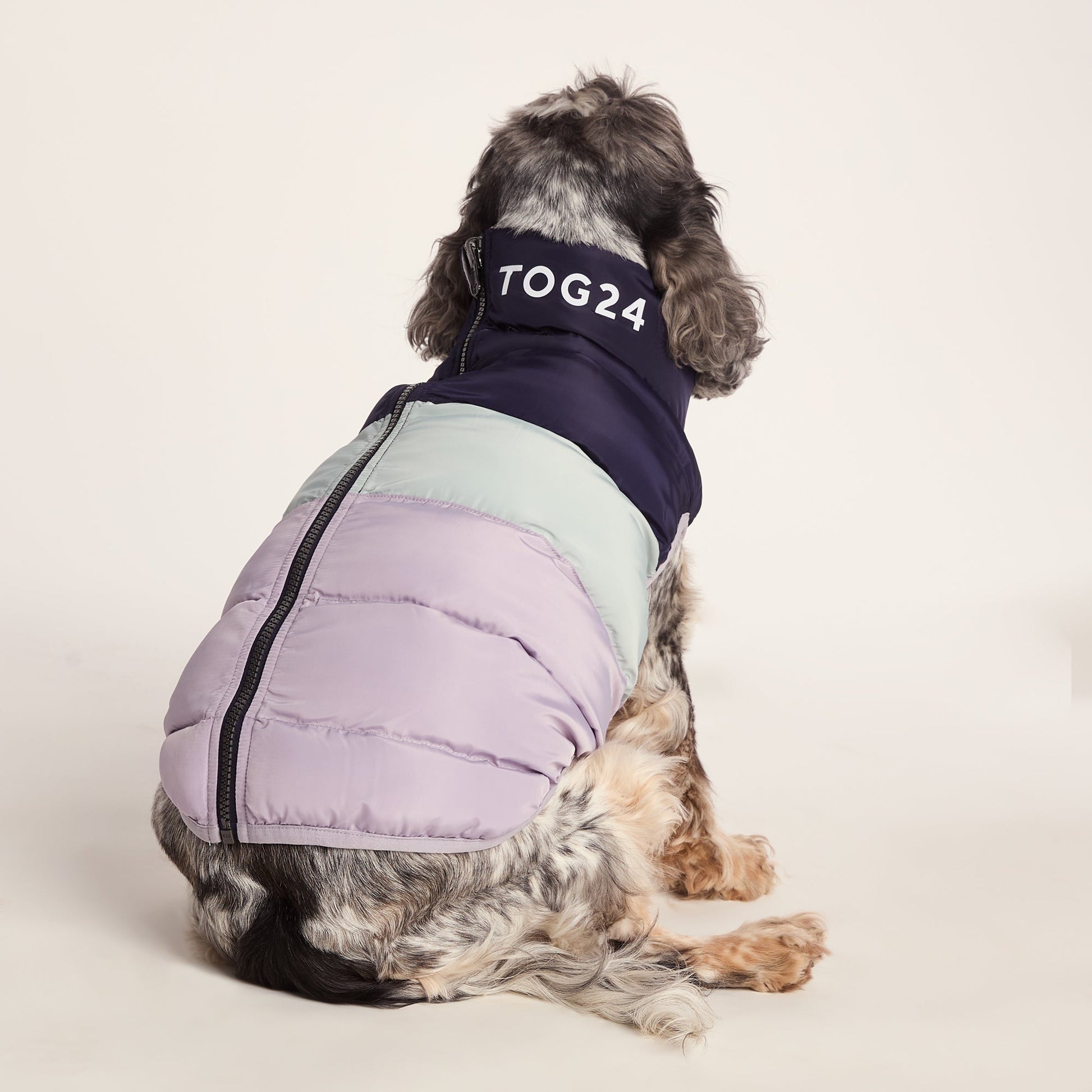 Fetch Padded Dog Coat M - Oxford Blue/Light Mist/Lavender Grey