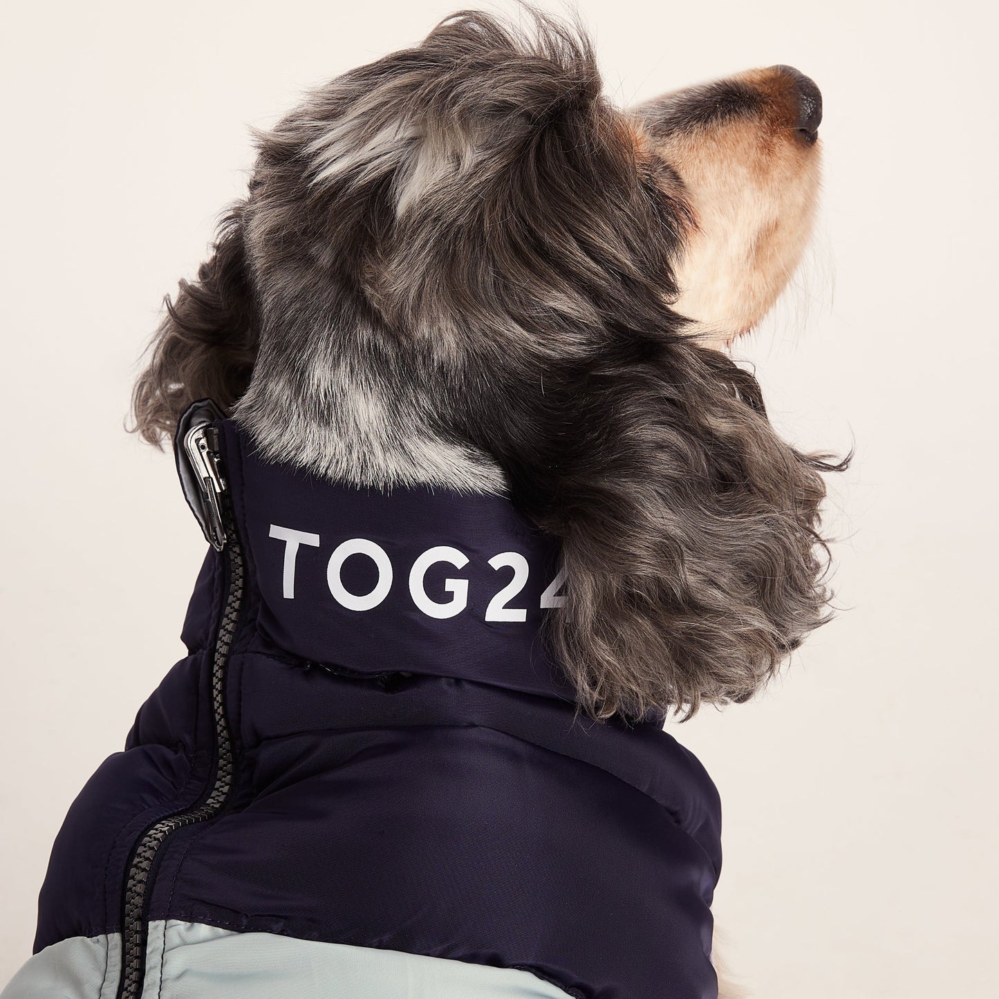 Fetch Padded Dog Coat M - Oxford Blue/Light Mist/Lavender Grey