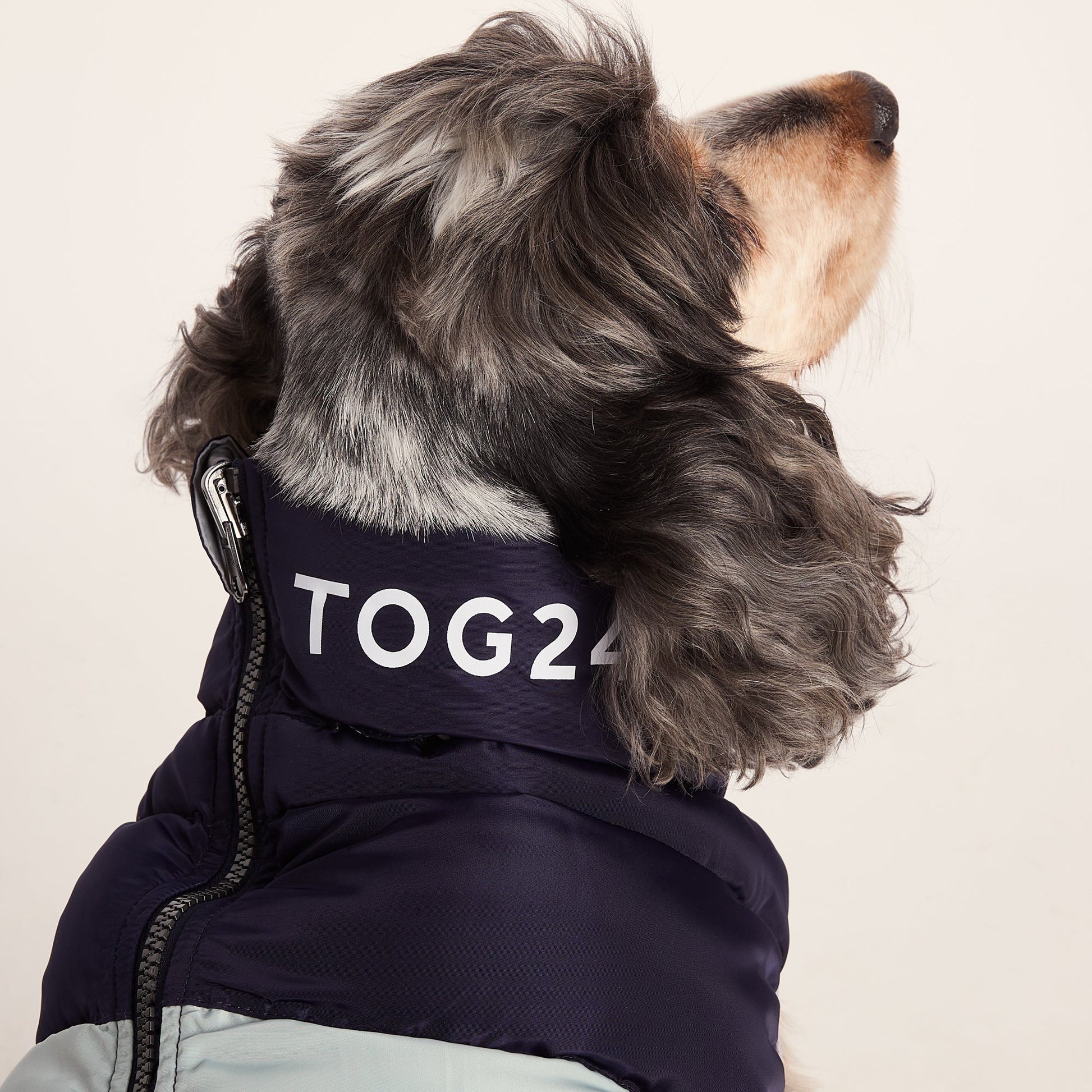 Fetch Padded Dog Coat M - Oxford Blue/Light Mist/Lavender Grey