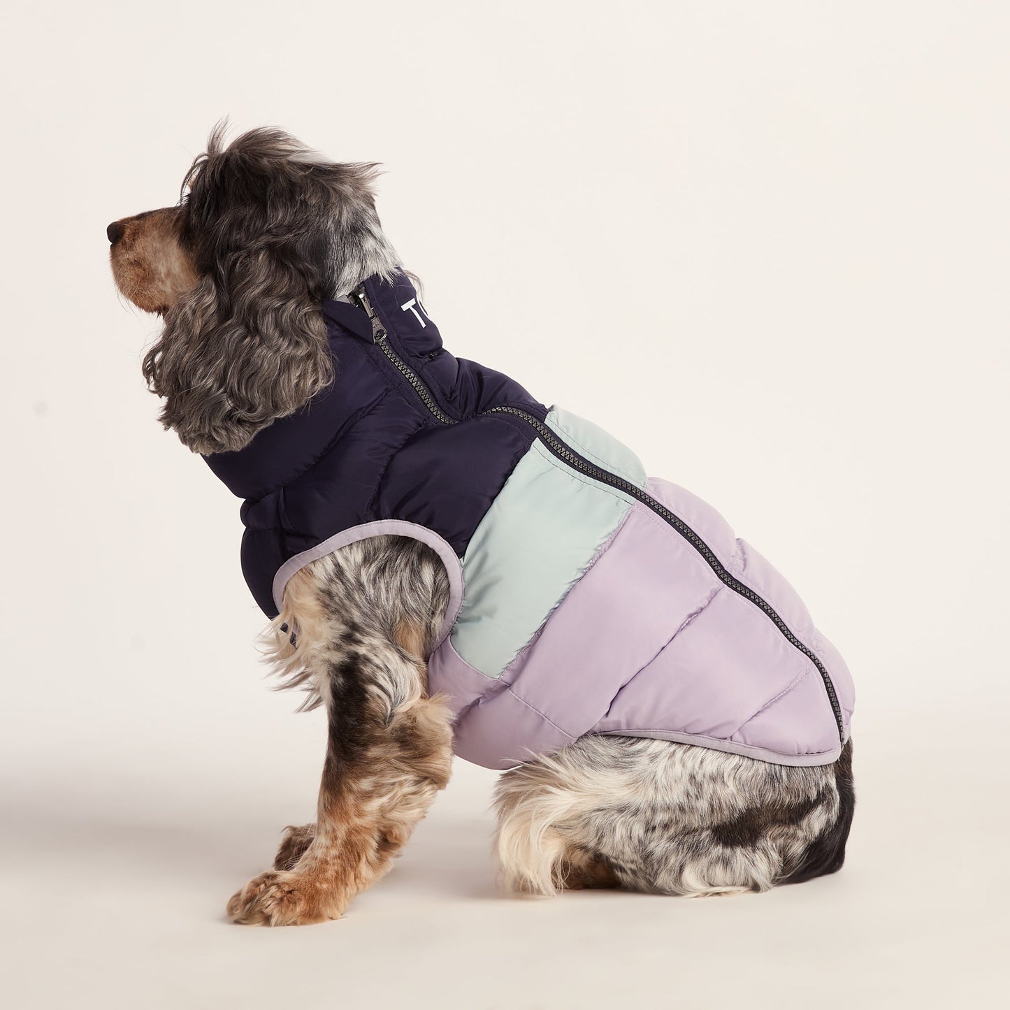 Fetch Padded Dog Coat M - Oxford Blue/Light Mist/Lavender Grey