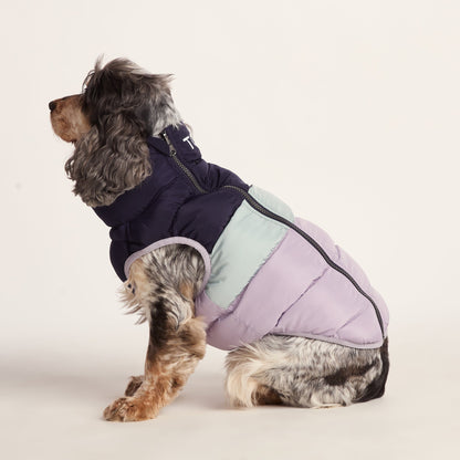 Fetch Padded Dog Coat M - Oxford Blue/Light Mist/Lavender Grey