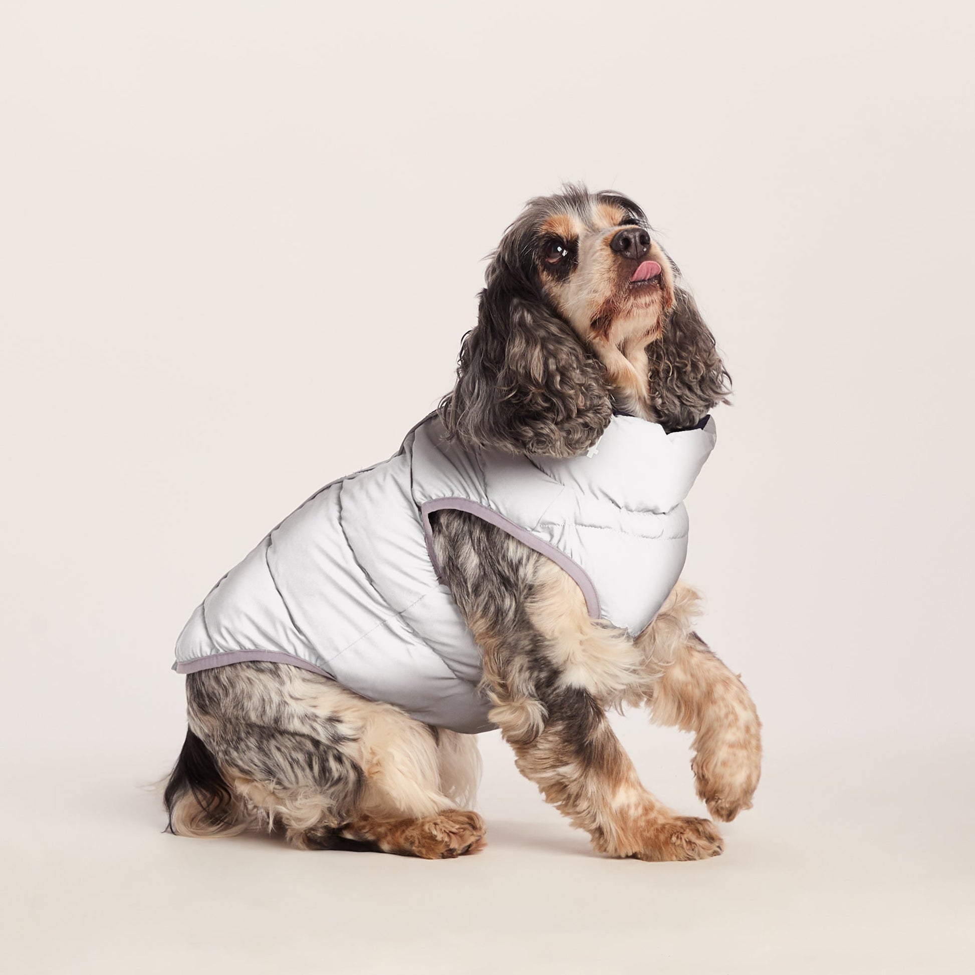 Fetch Padded Dog Coat M - Oxford Blue/Light Mist/Lavender Grey