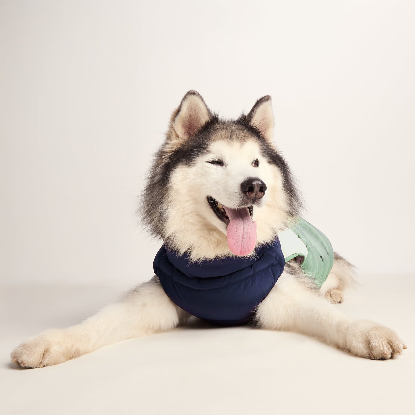 Fetch Padded Dog Coat L - Oxford Blue/Light Mist/Lavender Grey