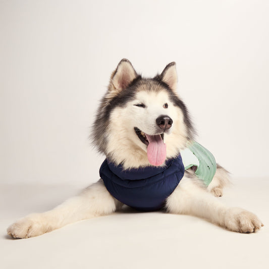 Fetch Padded Dog Coat L - Oxford Blue/Light Mist/Lavender Grey