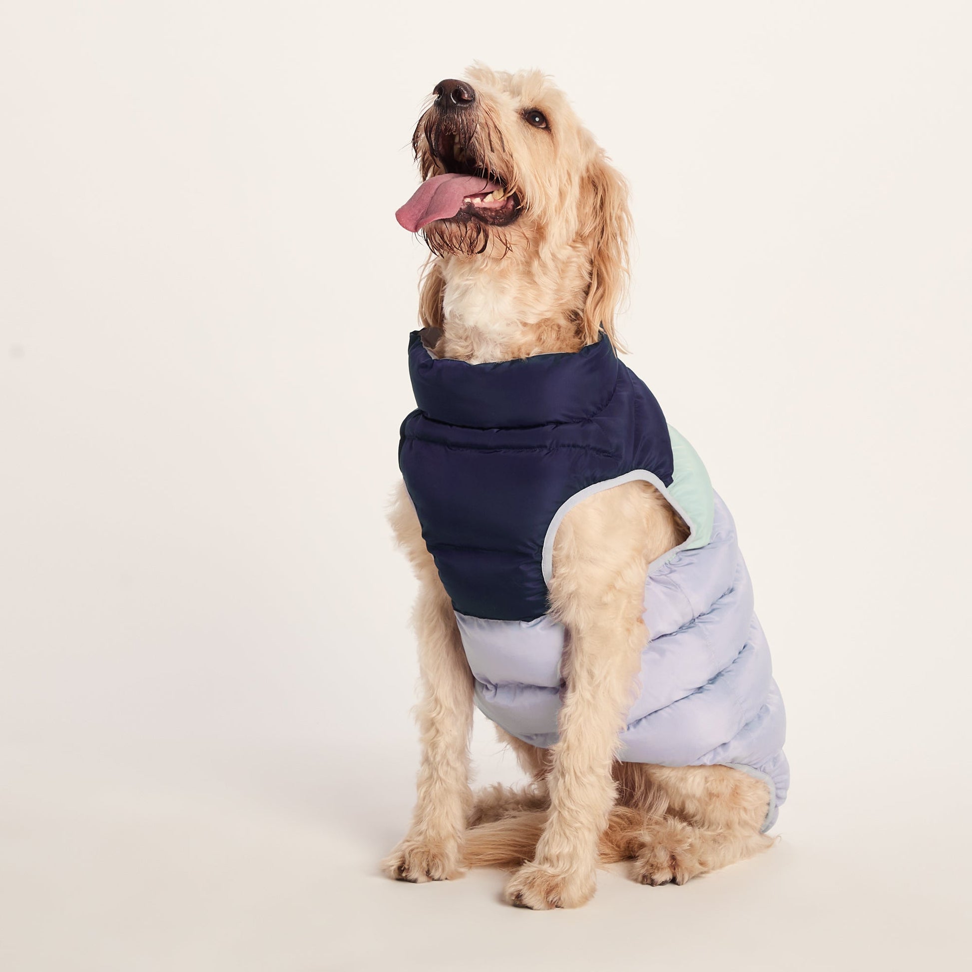 Fetch Padded Dog Coat XL - Oxford Blue/Light Mist/Lavender Grey