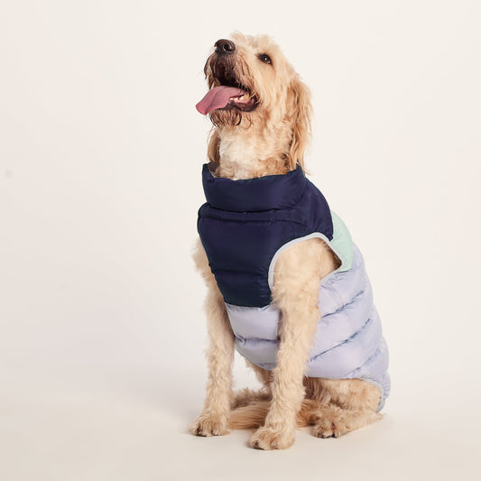 Fetch Padded Dog Coat XL - Oxford Blue/Light Mist/Lavender Grey