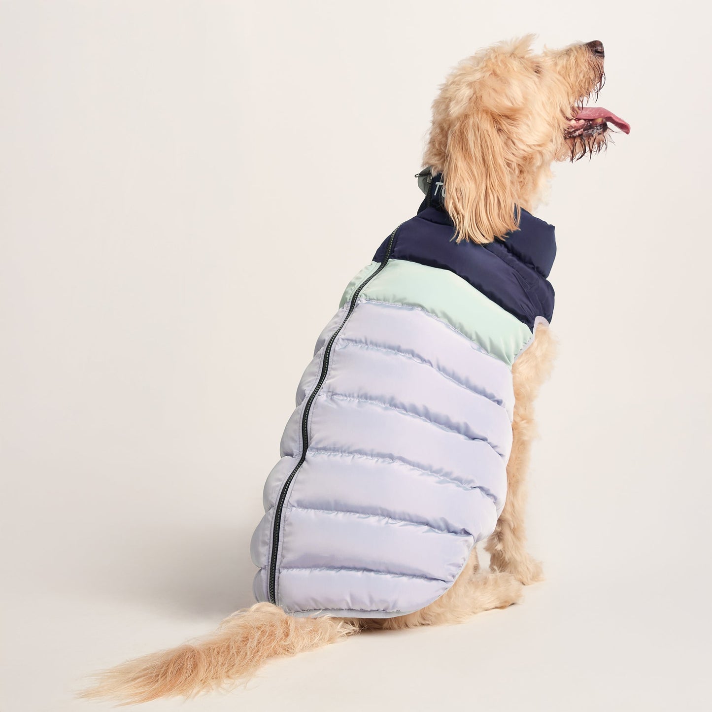 Fetch Padded Dog Coat XL - Oxford Blue/Light Mist/Lavender Grey