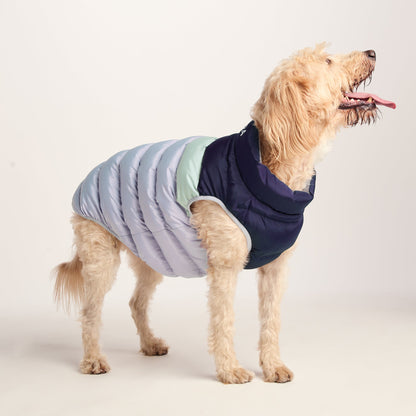 Fetch Padded Dog Coat XL - Oxford Blue/Light Mist/Lavender Grey