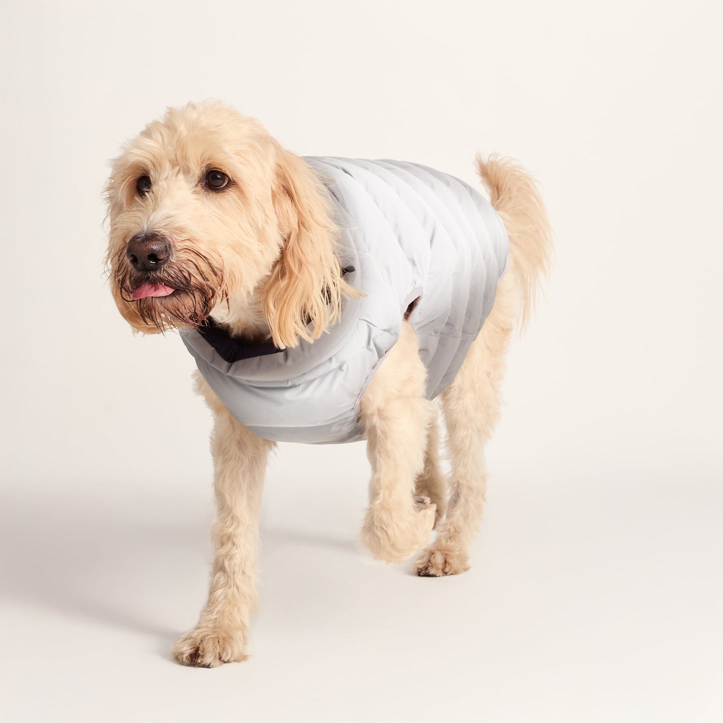Fetch Padded Dog Coat XL - Oxford Blue/Light Mist/Lavender Grey