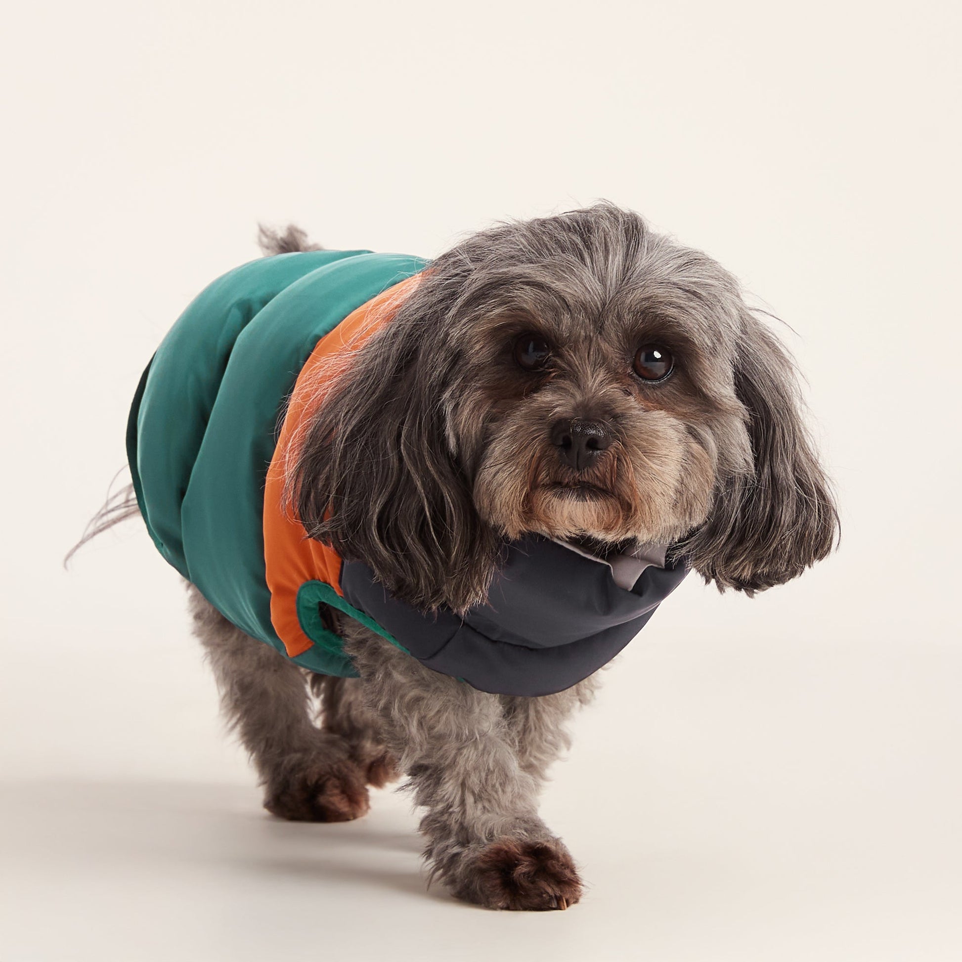 Fetch Padded Dog Coat XS - Dark Indigo/Mahogany Orange/Dark Turquoise