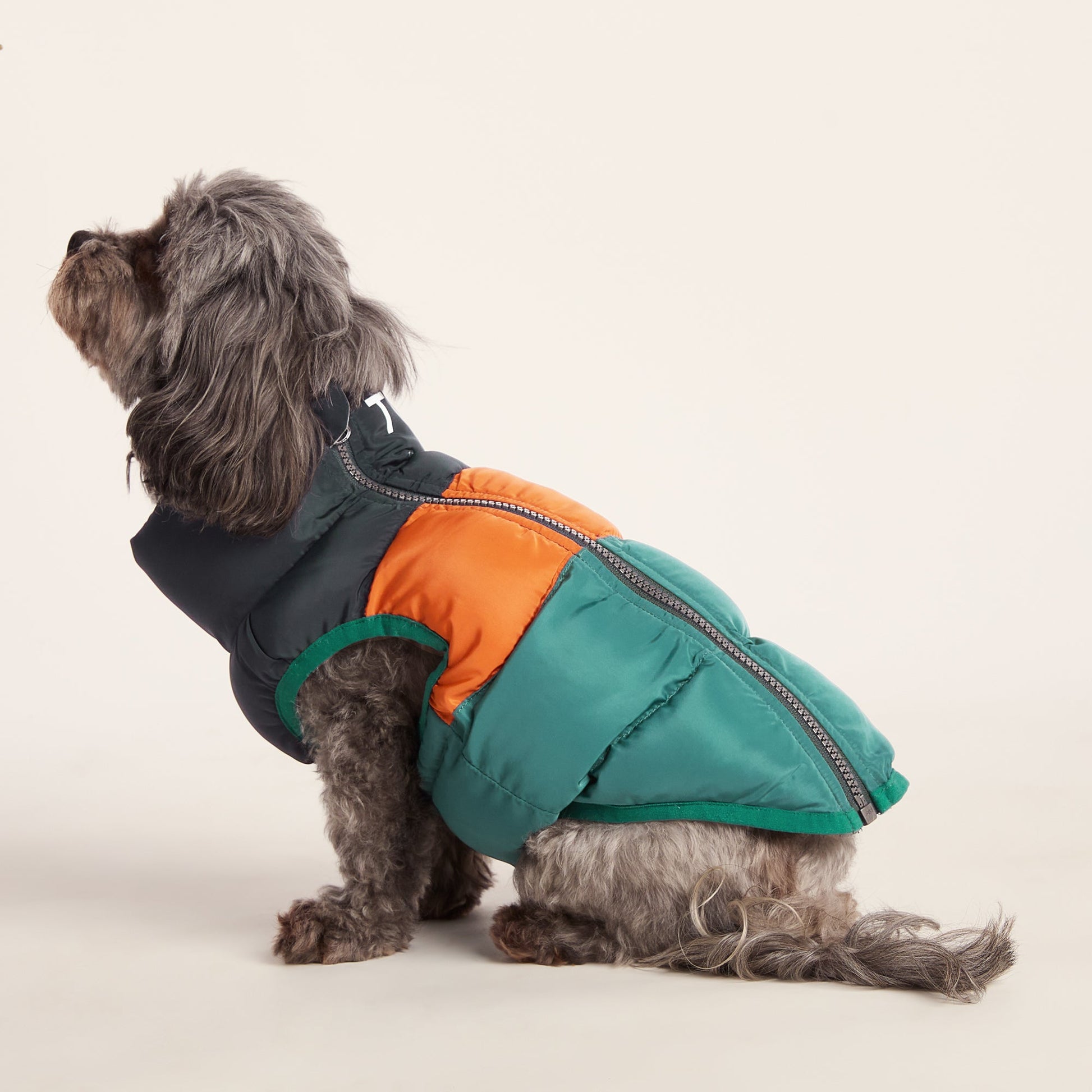 Fetch Padded Dog Coat XS - Dark Indigo/Mahogany Orange/Dark Turquoise
