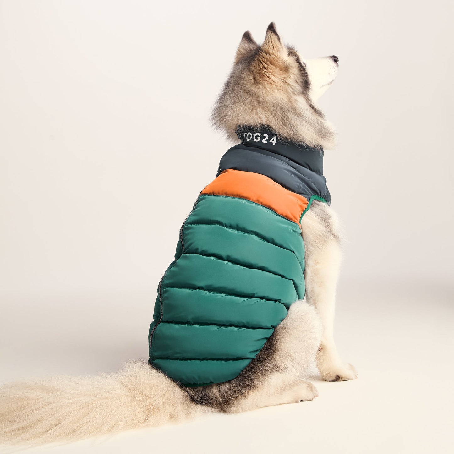 Fetch Padded Dog Coat L - Dark Indigo/Mahogany Orange/Dark Turquoise