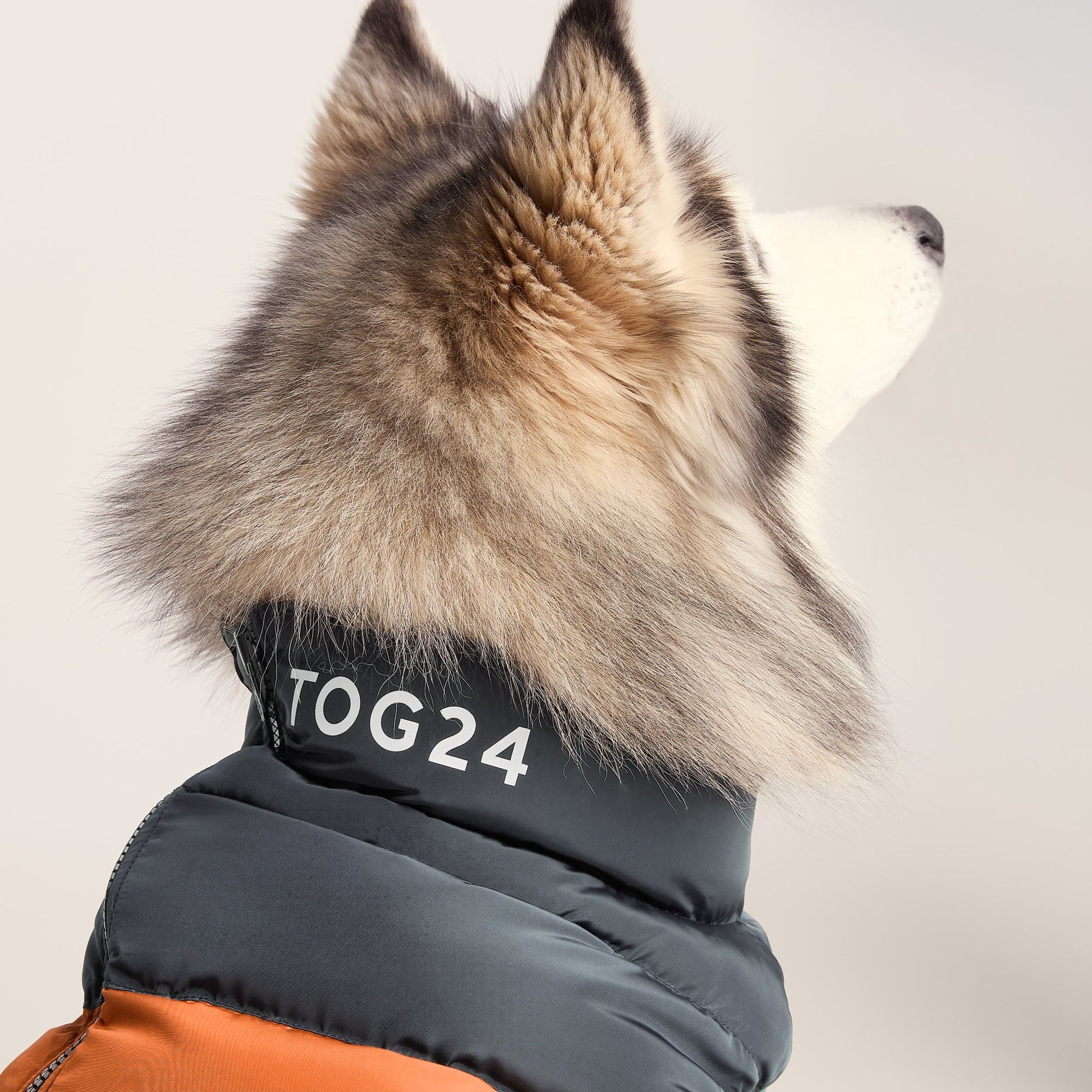 Fetch Padded Dog Coat L - Dark Indigo/Mahogany Orange/Dark Turquoise