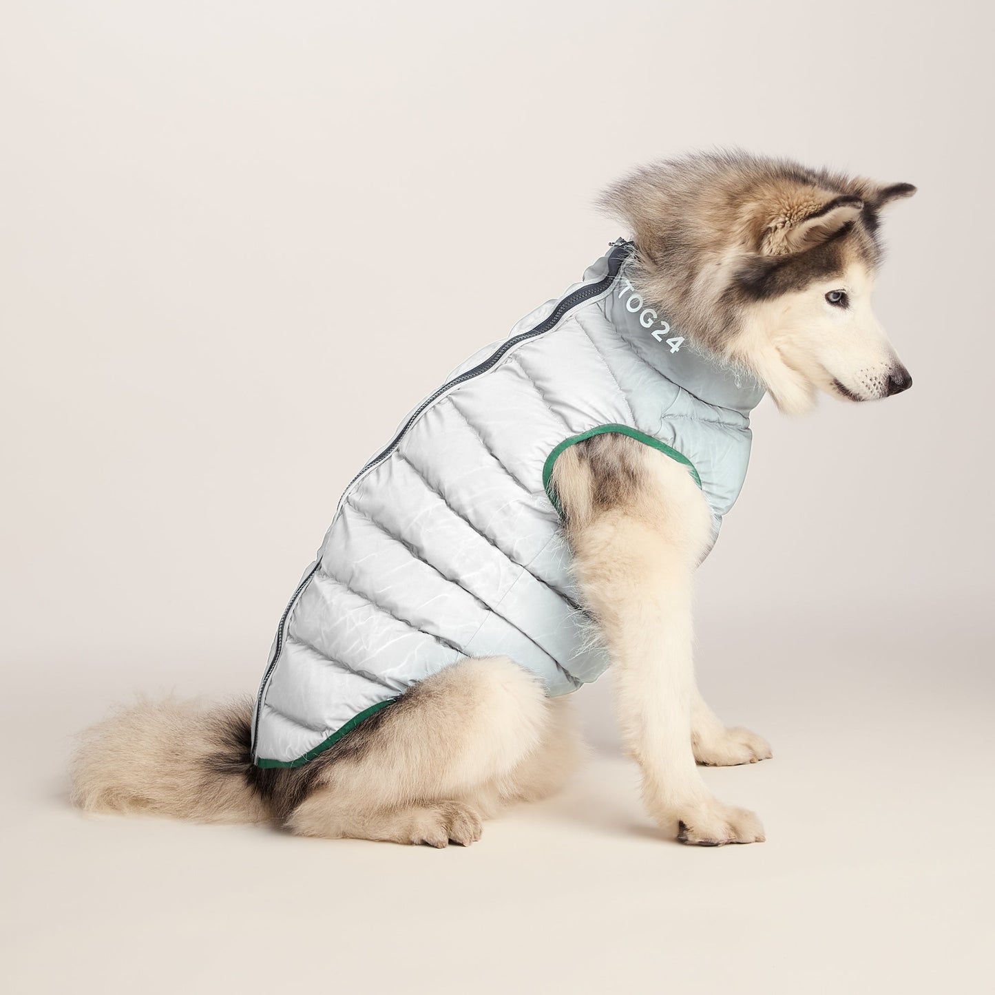 Fetch Padded Dog Coat L - Dark Indigo/Mahogany Orange/Dark Turquoise