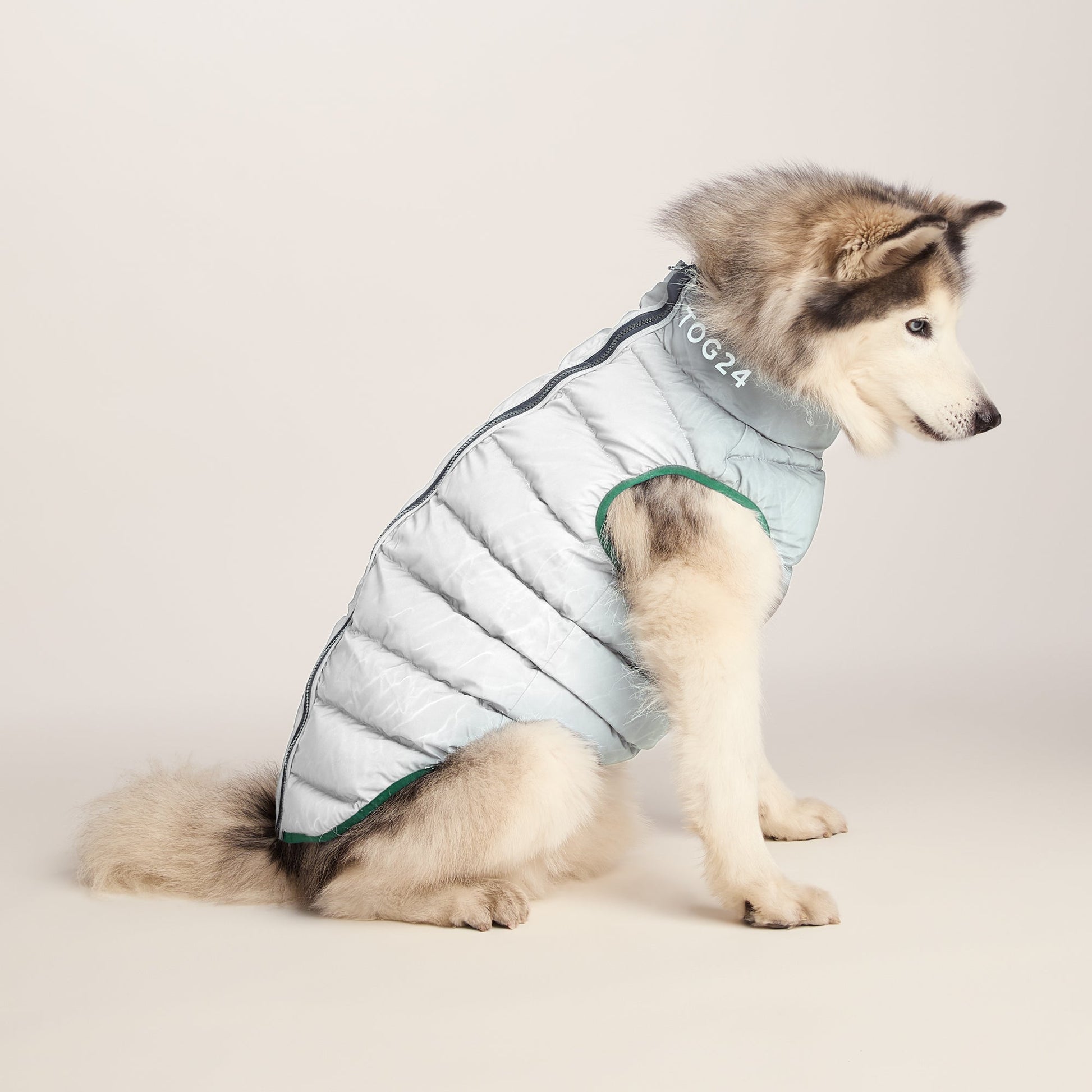 Fetch Padded Dog Coat L - Dark Indigo/Mahogany Orange/Dark Turquoise