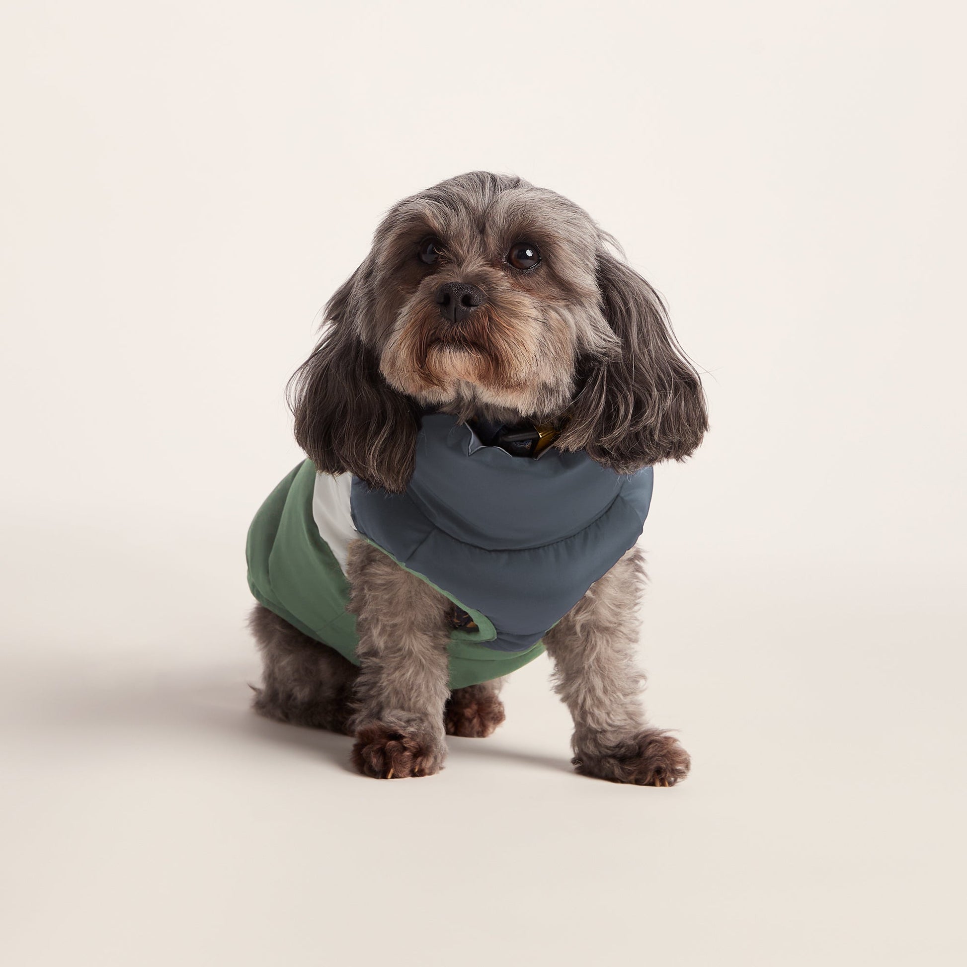 Fetch Padded Dog Coat XS - Dark Indigo/Vanilla/Light Forest