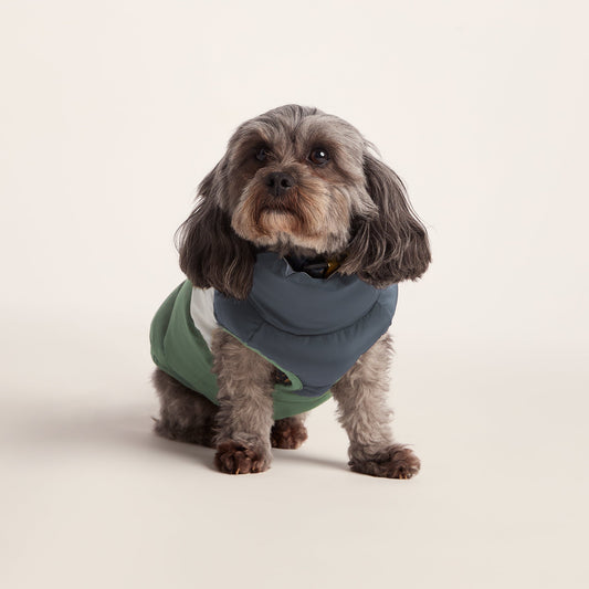 Fetch Padded Dog Coat XS - Dark Indigo/Vanilla/Light Forest