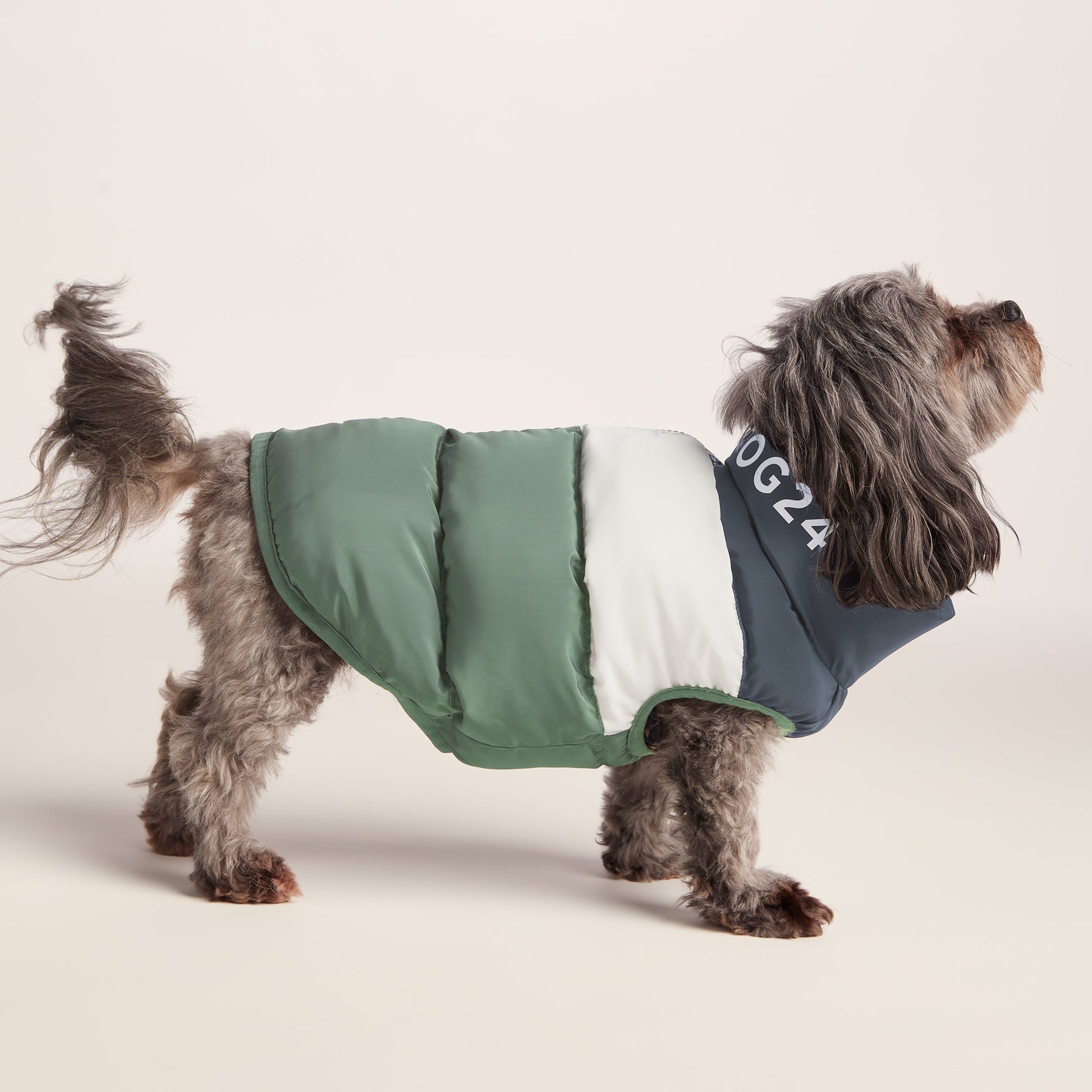 Fetch Padded Dog Coat XS - Dark Indigo/Vanilla/Light Forest