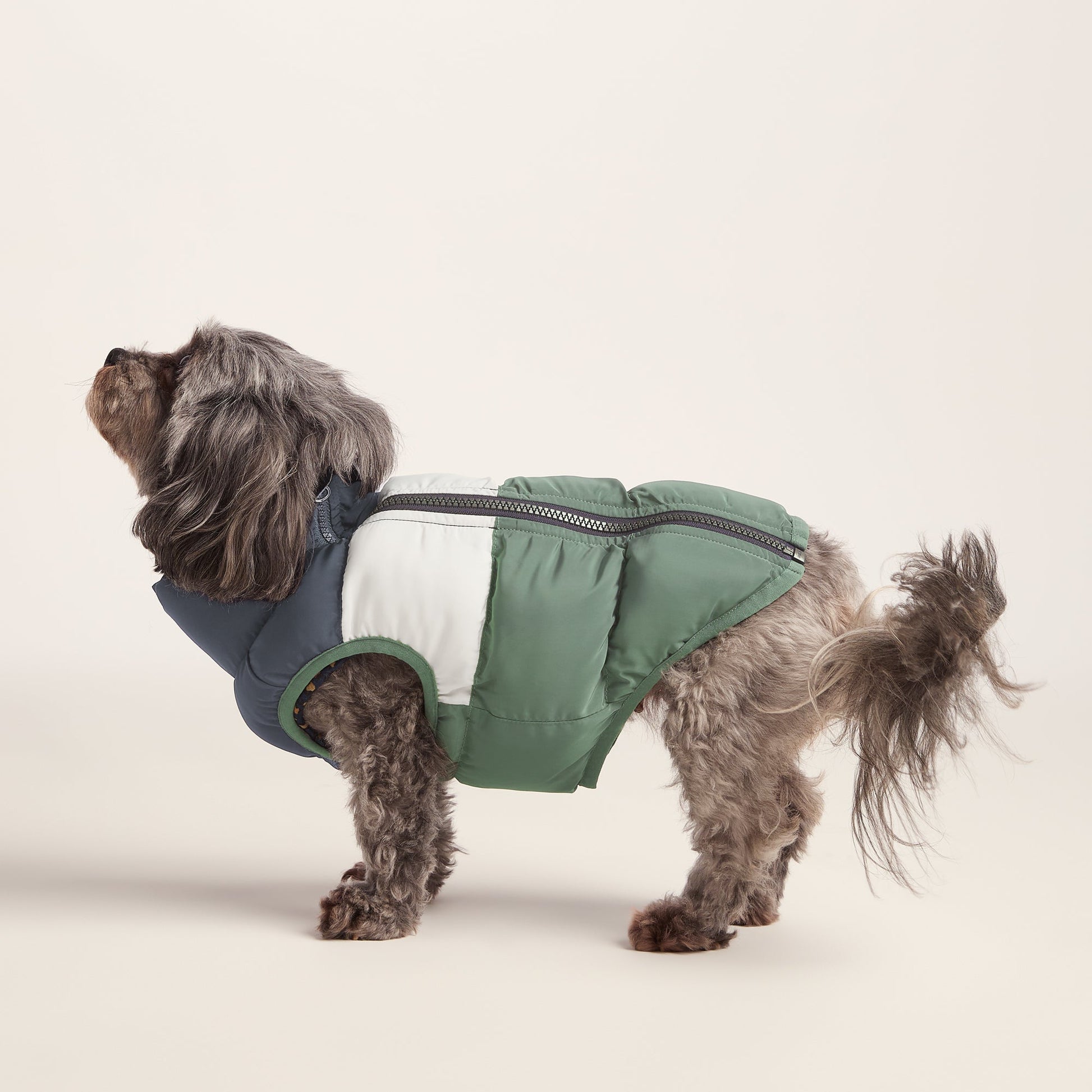 Fetch Padded Dog Coat XS - Dark Indigo/Vanilla/Light Forest