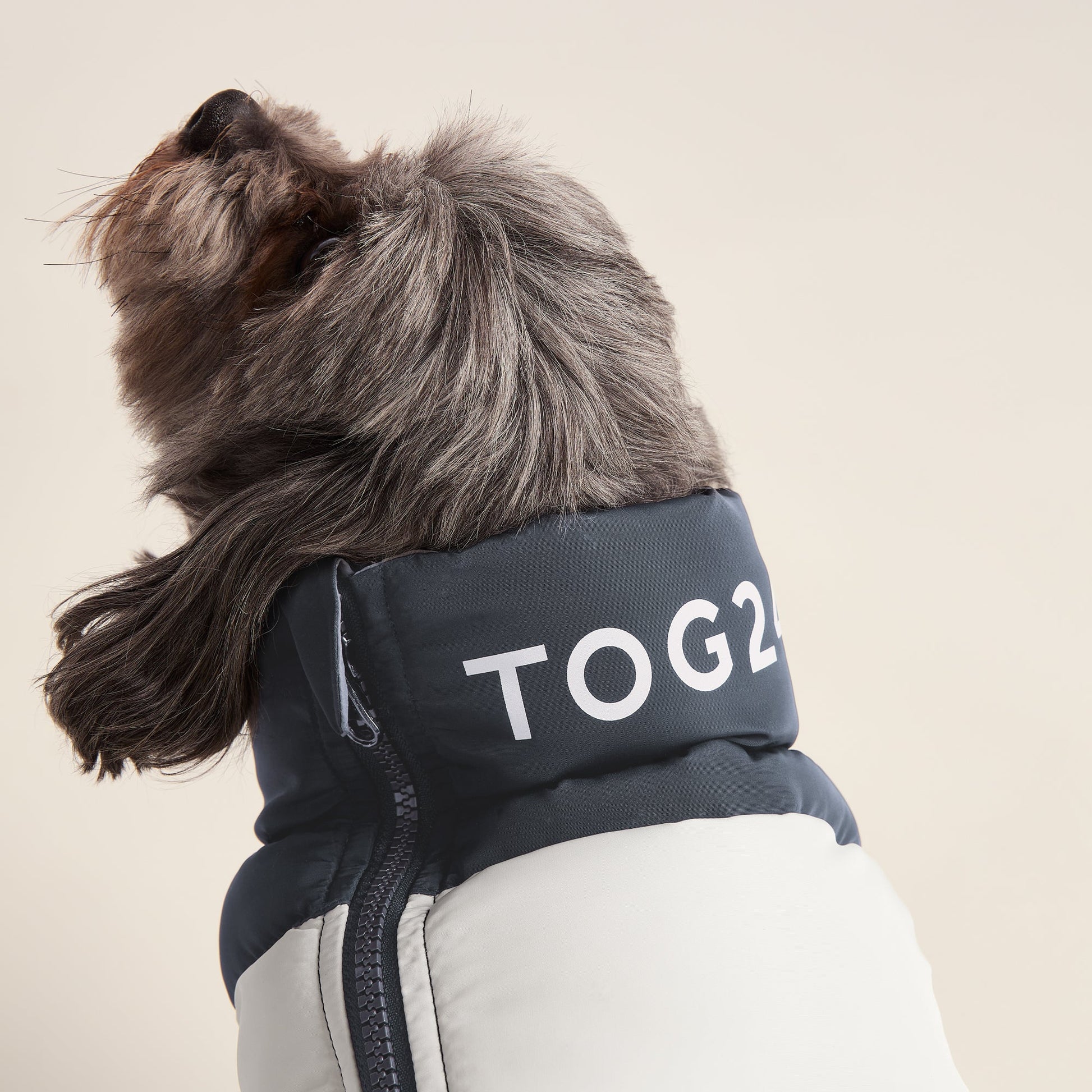 Fetch Padded Dog Coat XS - Dark Indigo/Vanilla/Light Forest