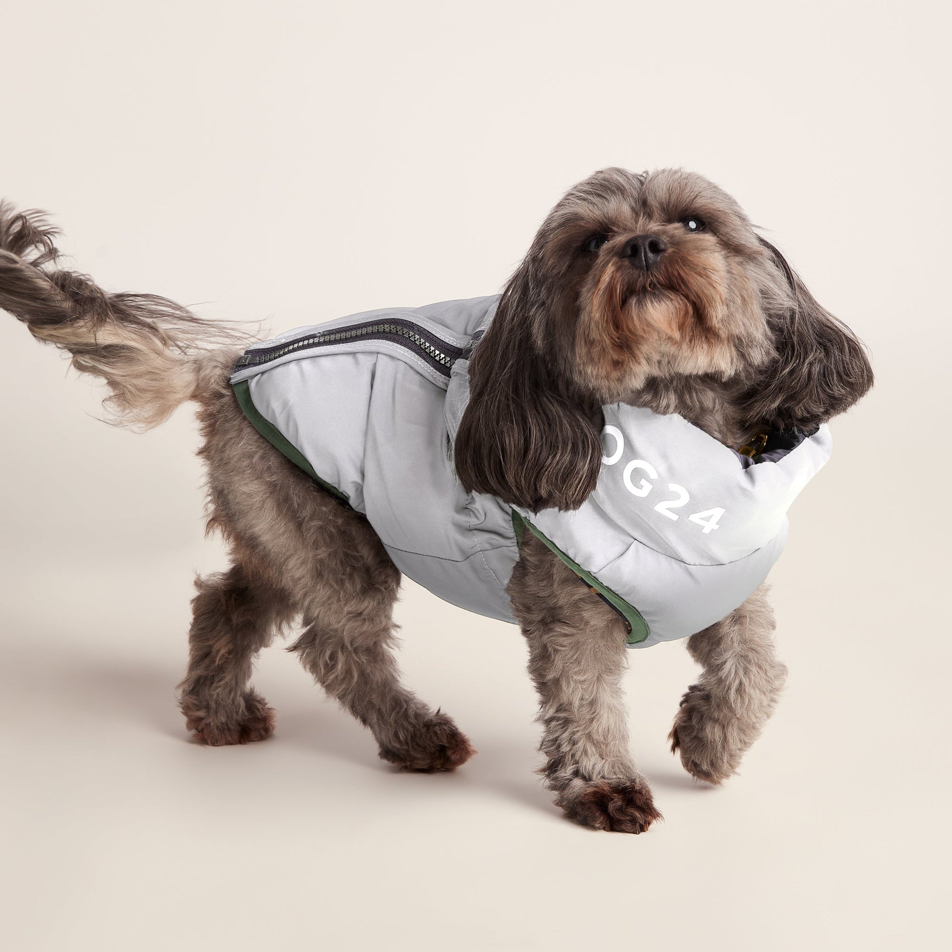 Fetch Padded Dog Coat XS - Dark Indigo/Vanilla/Light Forest