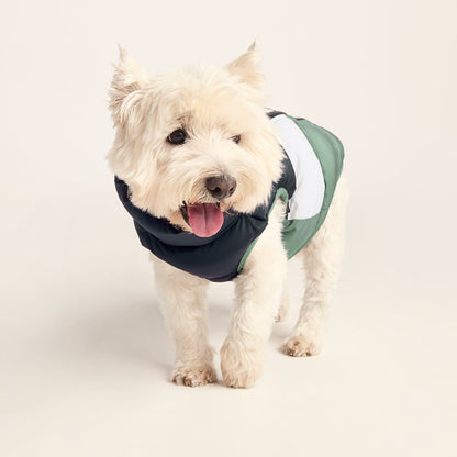 Fetch Padded Dog Coat S - Dark Indigo/Vanilla/Light Forest