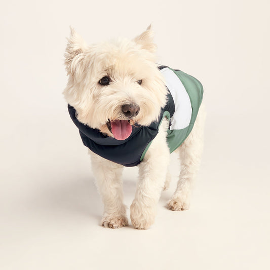 Fetch Padded Dog Coat S - Dark Indigo/Vanilla/Light Forest