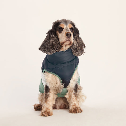 Fetch Padded Dog Coat M - Dark Indigo/Vanilla/Light Forest