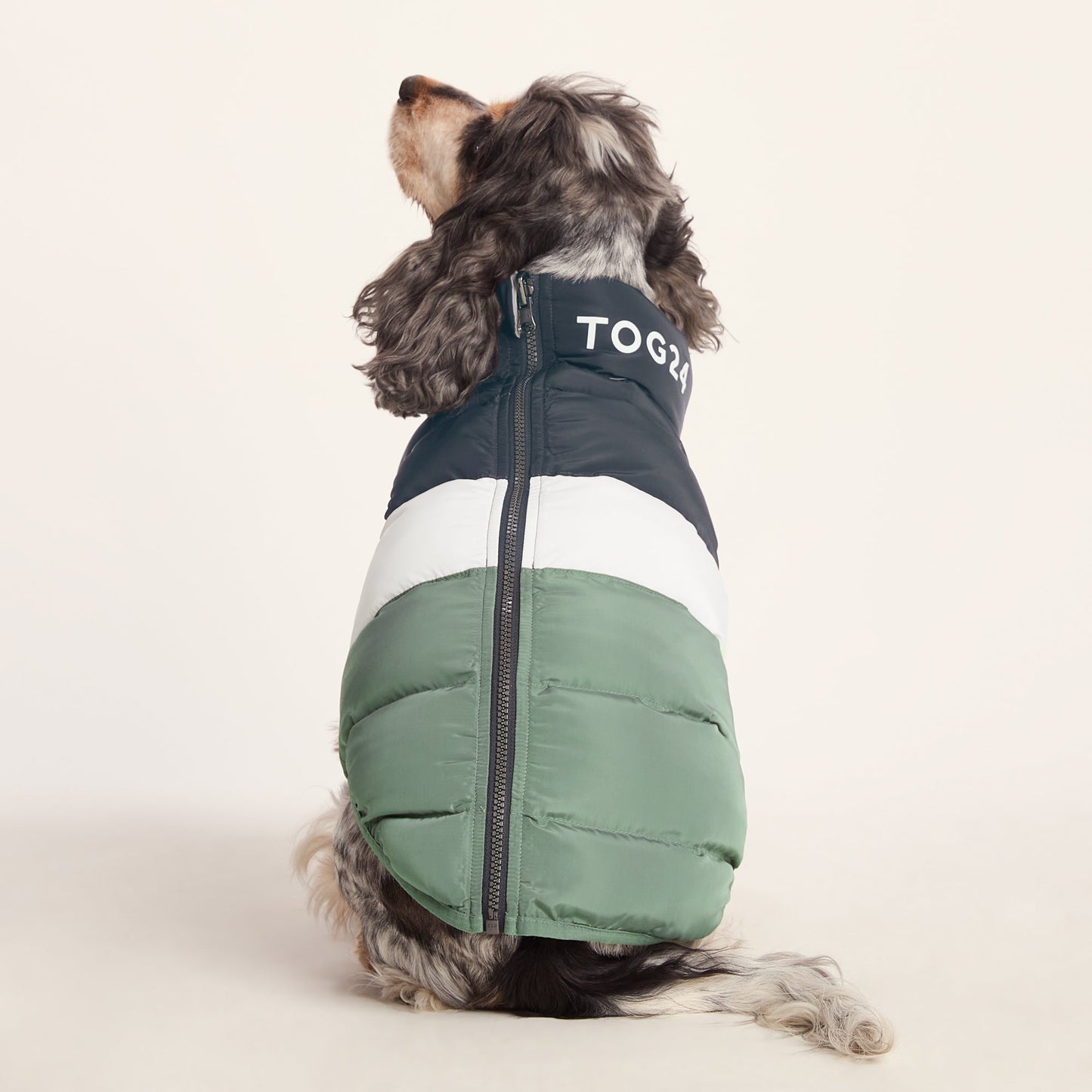 Fetch Padded Dog Coat M - Dark Indigo/Vanilla/Light Forest