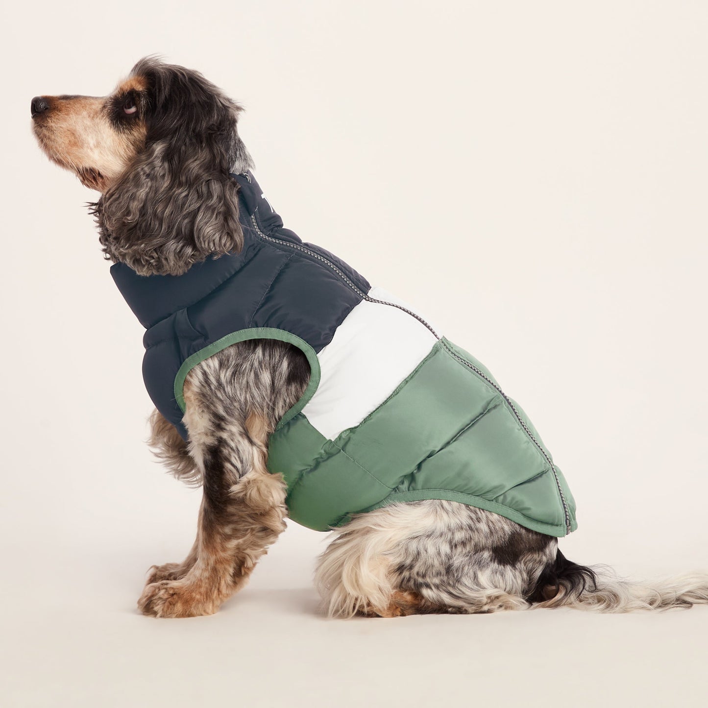 Fetch Padded Dog Coat M - Dark Indigo/Vanilla/Light Forest