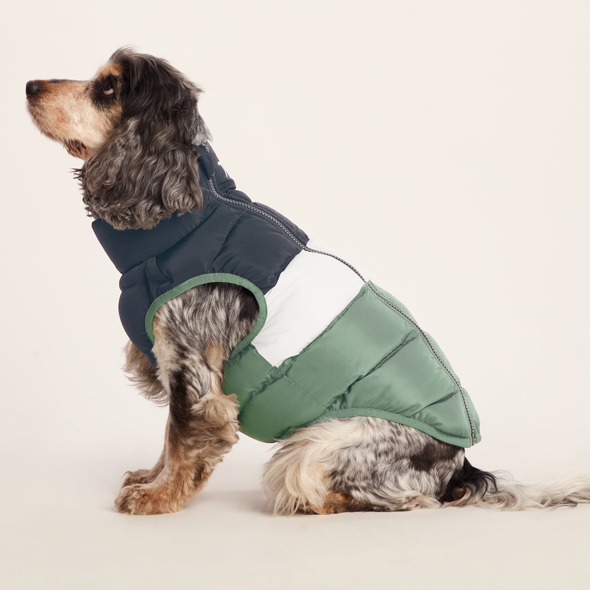Fetch Padded Dog Coat M - Dark Indigo/Vanilla/Light Forest
