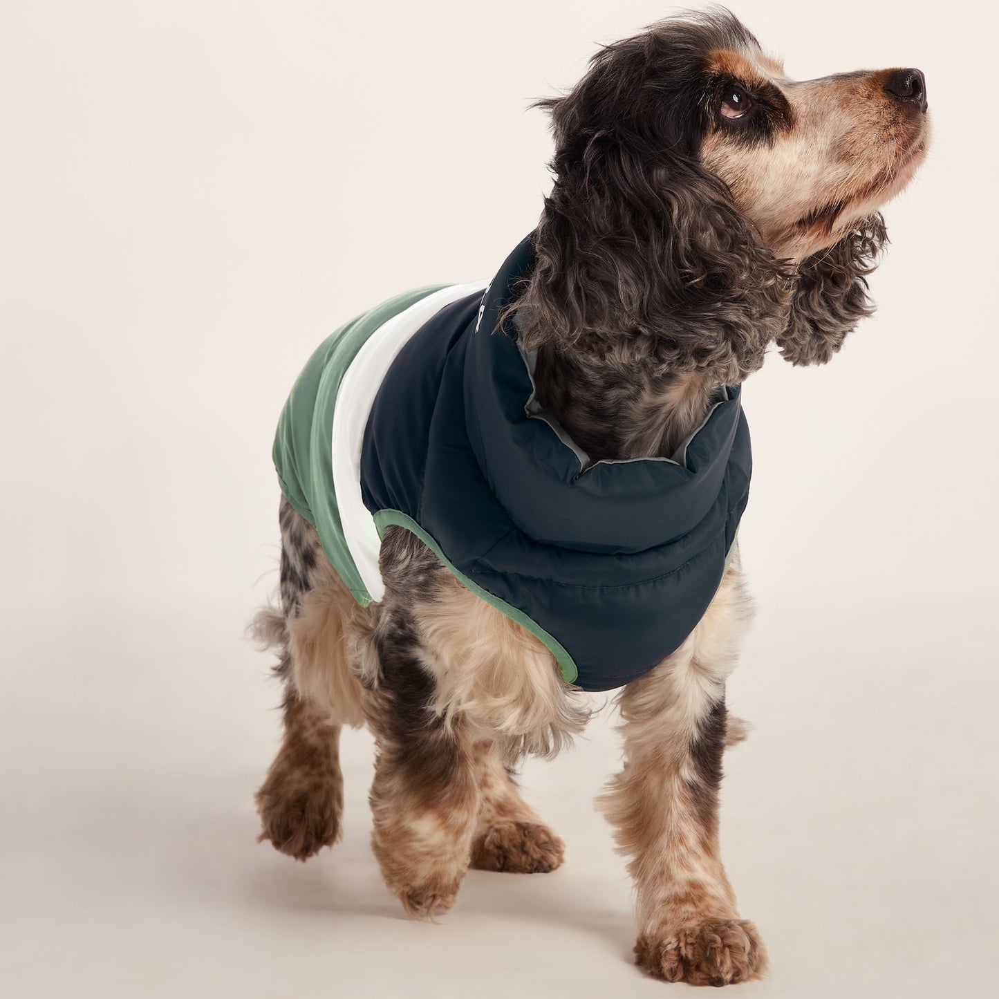 Fetch Padded Dog Coat M - Dark Indigo/Vanilla/Light Forest