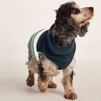 Fetch Padded Dog Coat M - Dark Indigo/Vanilla/Light Forest