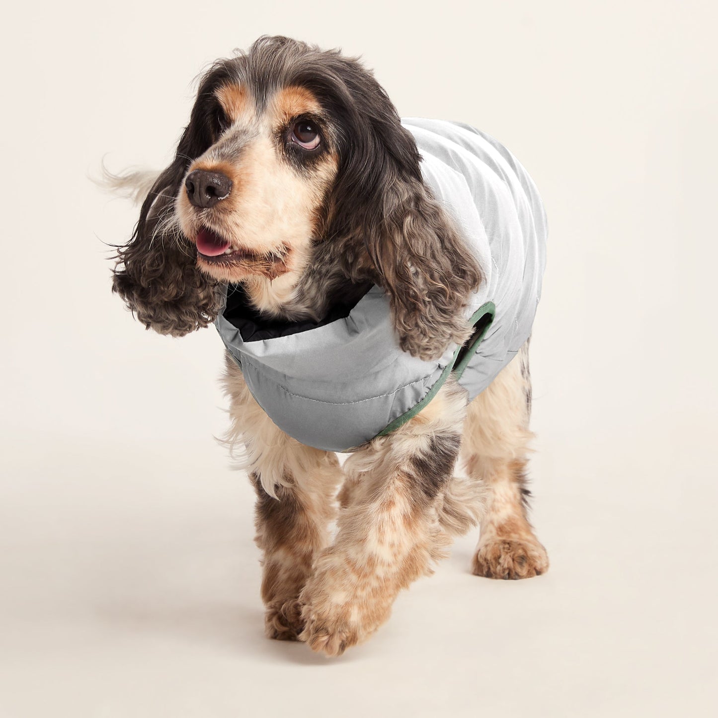 Fetch Padded Dog Coat M - Dark Indigo/Vanilla/Light Forest
