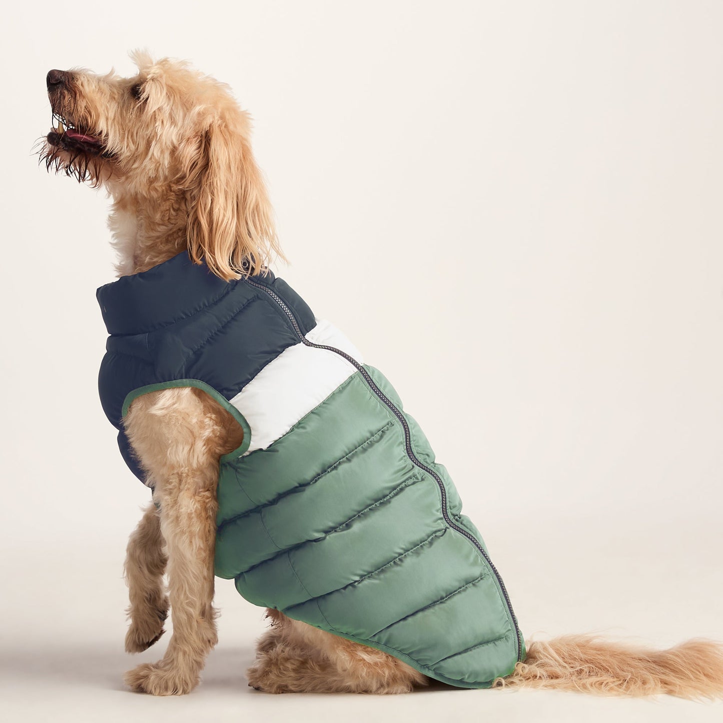 Fetch Padded Dog Coat L - Dark Indigo/Vanilla/Light Forest
