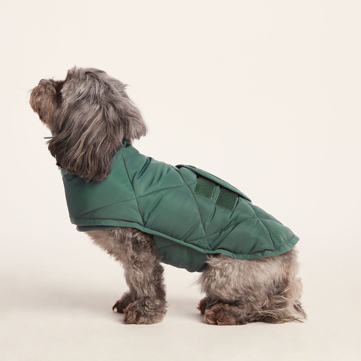 Fido Padded Dog Coat XS - Racing Green