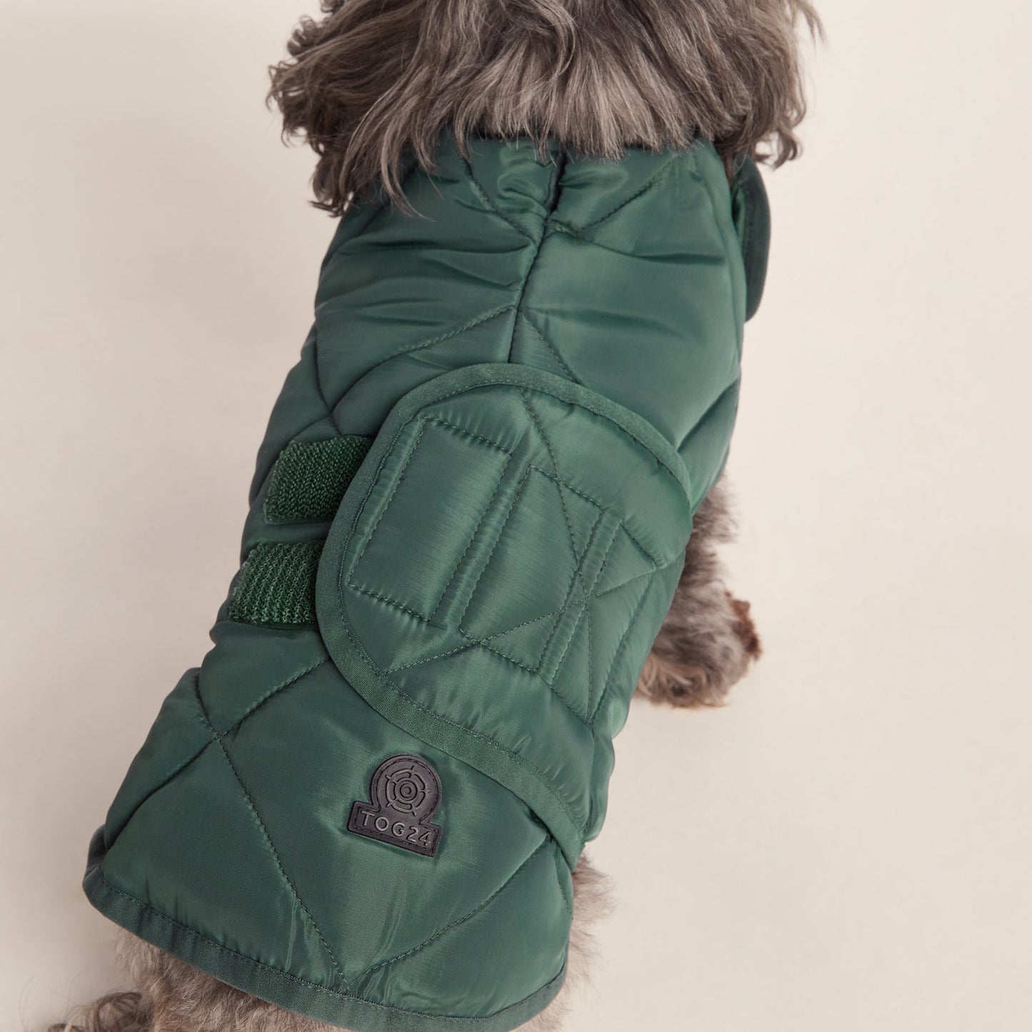 Fido Padded Dog Coat XS - Racing Green