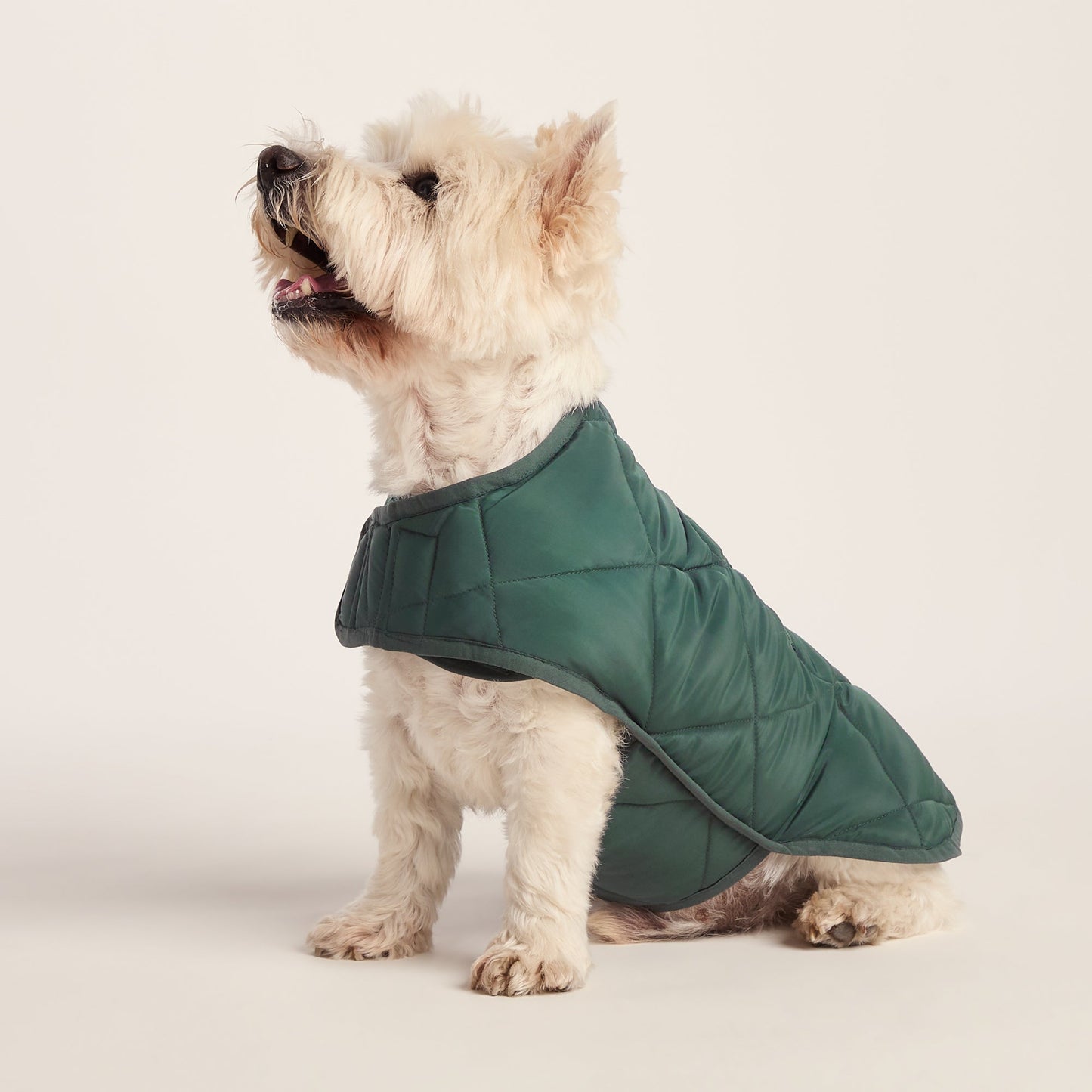 Fido Padded Dog Coat S - Racing Green