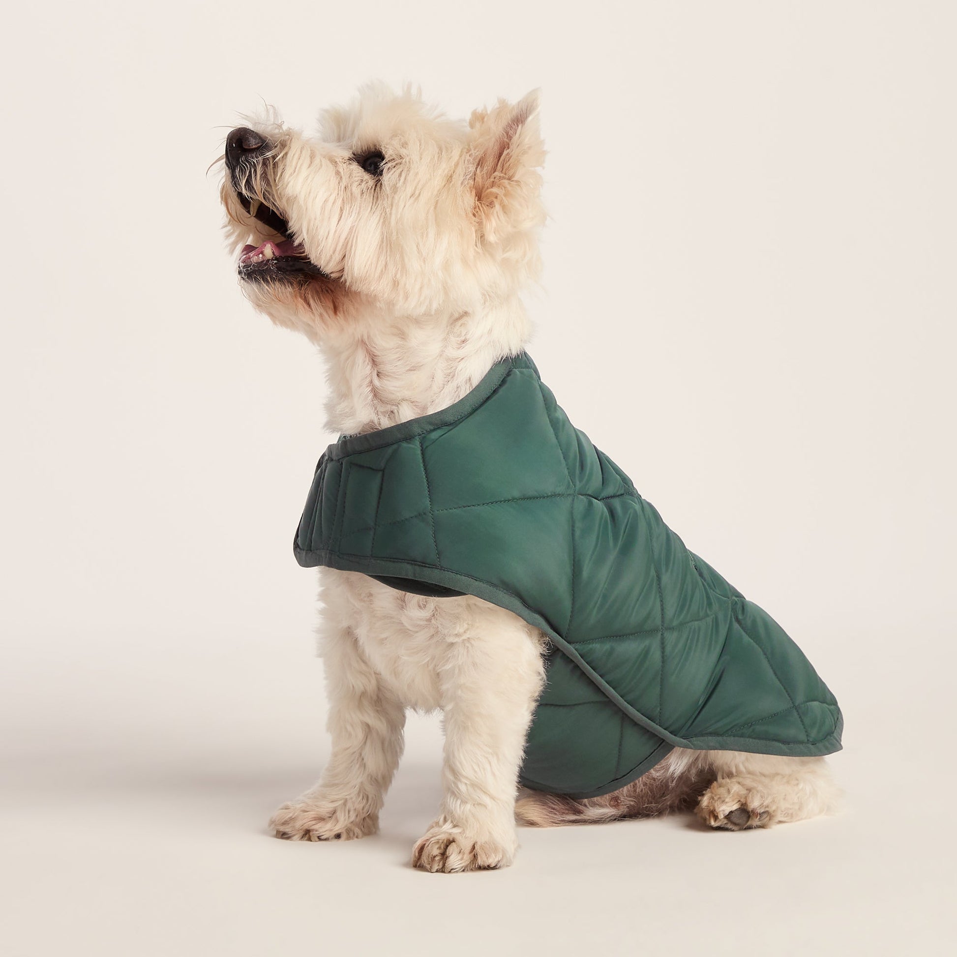 Fido Padded Dog Coat S - Racing Green