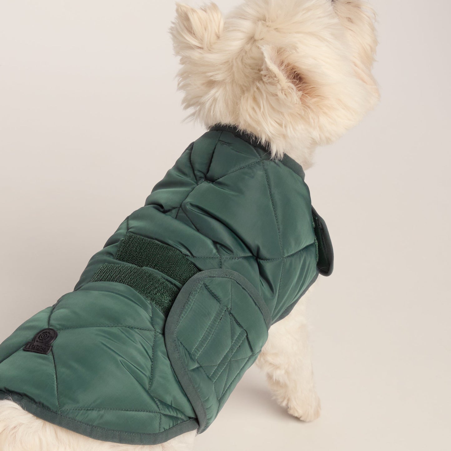 Fido Padded Dog Coat S - Racing Green