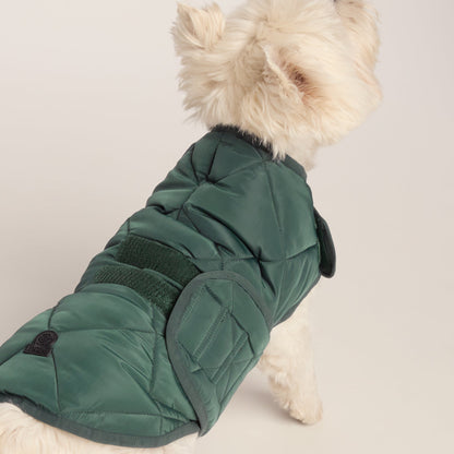 Fido Padded Dog Coat S - Racing Green
