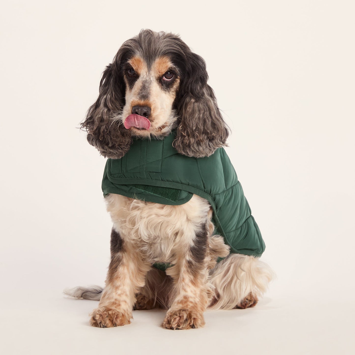 Fido Padded Dog Coat M - Racing Green