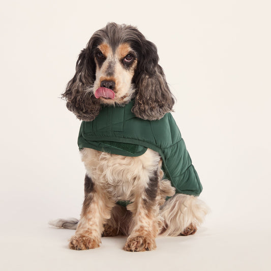 Fido Padded Dog Coat M - Racing Green