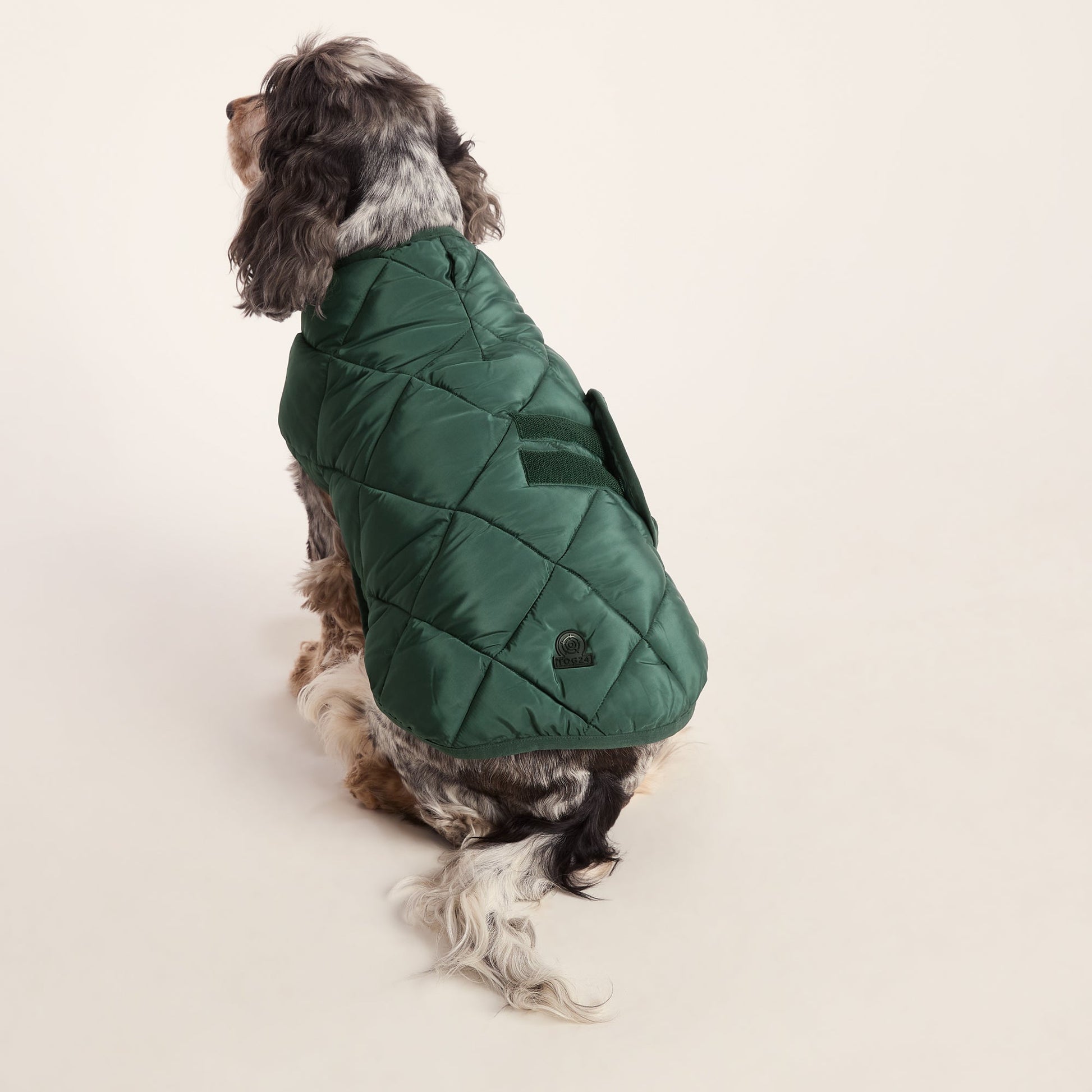 Fido Padded Dog Coat M - Racing Green